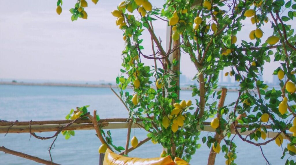 Czy w Grecji rosną cytryny?