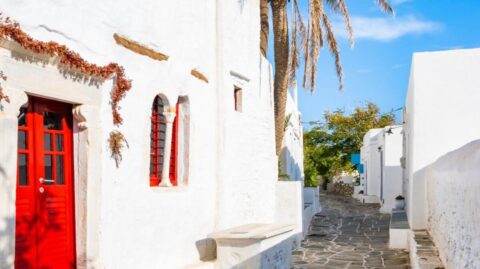 Czy w Grecji są palmy?