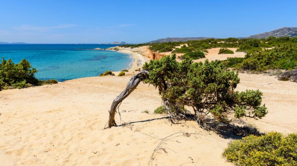 Plaża Aliko na Naksos