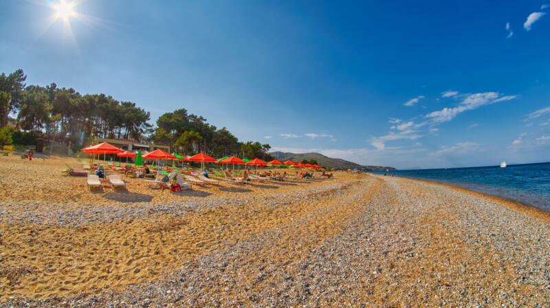 Piaszczysta czy kamienista?