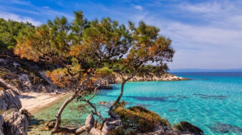 Plaża Kavourotrypes na Chalkidiki