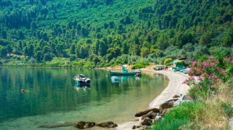 Evia czy Lesbos? Którą wybrać i dlaczego?