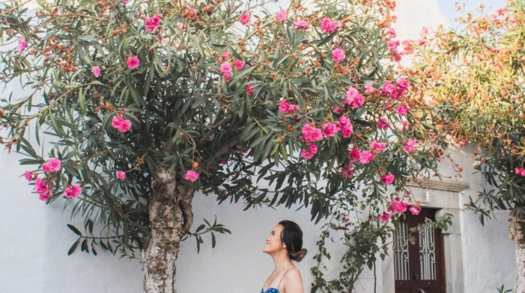 Paros czy Evia? Którą wybrać i dlaczego?