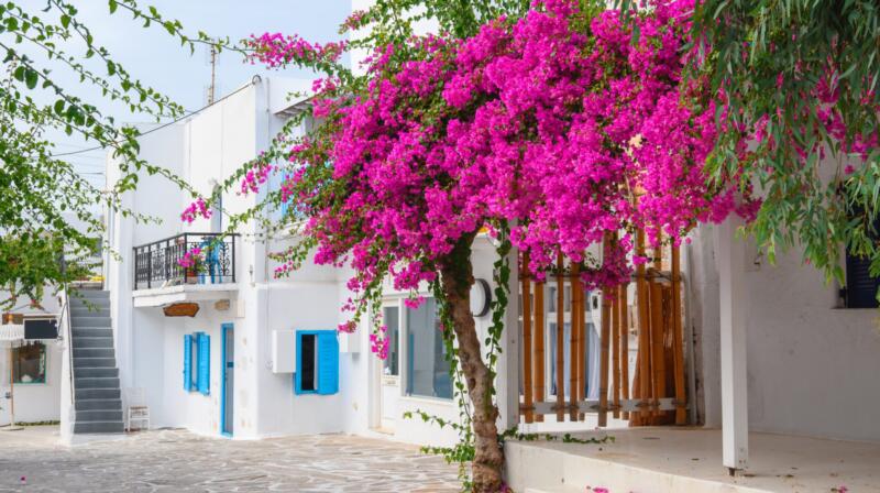 Temperatury powietrza w maju na Antiparos